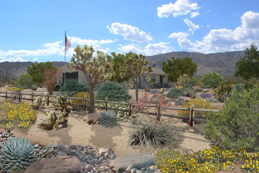 Desert Ranch Garden_2009_0114