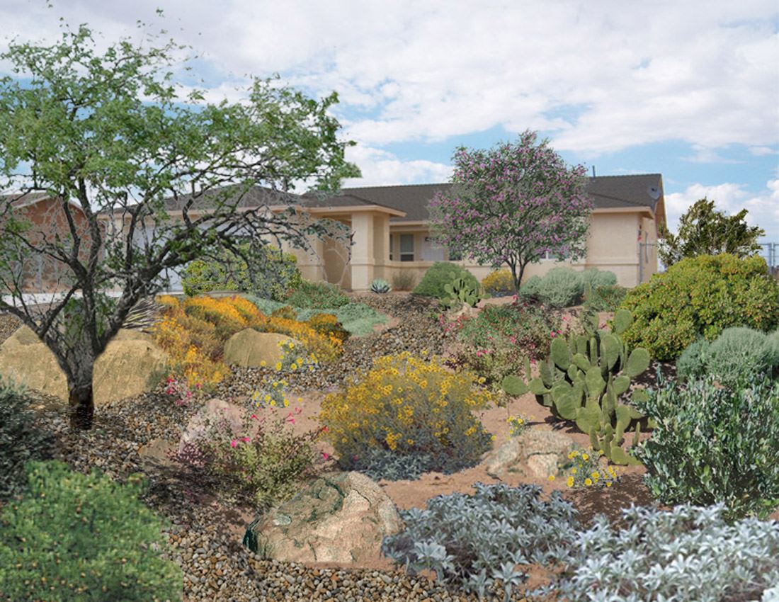 Wildlife Garden_2009_0114 (2)