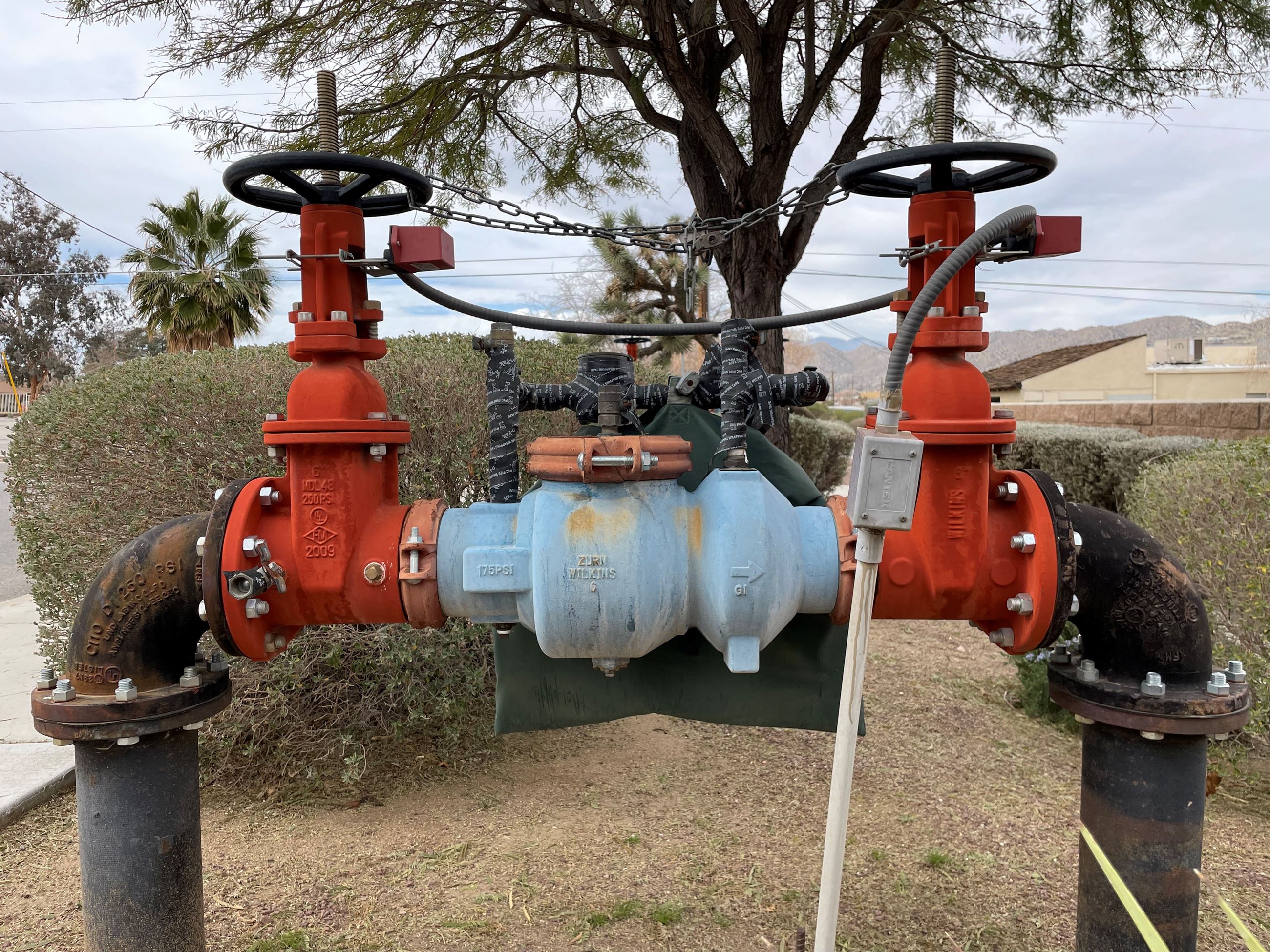 Backflow Device (JPG)